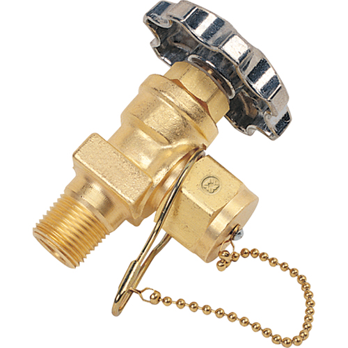 Station Valve with Dust Cap & Chain, Brass Seaboard Timber Mart