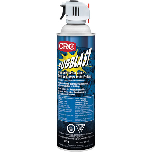 Insecticide Bug Blast, 397 g, &agrave; base de solvant Seaboard Timber Mart