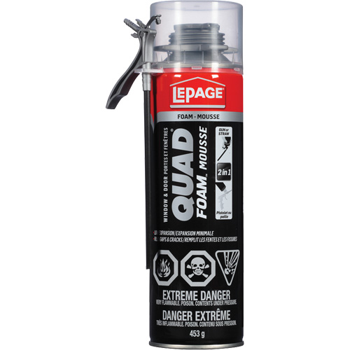 Quad&reg; Foam Window & Door Installation Foam, Aerosol Can, Tan Seaboard Timber Mart