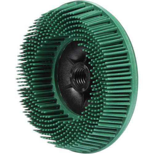Disques radiaux bristle pour meuleuses angulaires Scotch-Brite, C&eacute;ramique, Grain 50, 4-1/2" dia. Seaboard Timber Mart