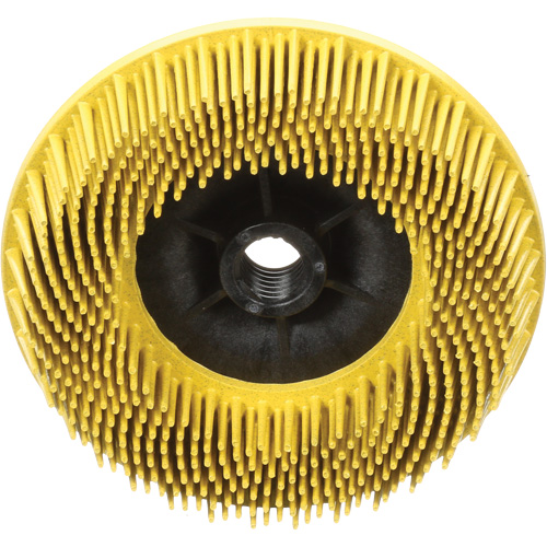 Disques radiaux bristle pour meuleuses angulaires Scotch-Brite, C&eacute;ramique, Grain 80, 4-1/2" dia. Seaboard Timber Mart