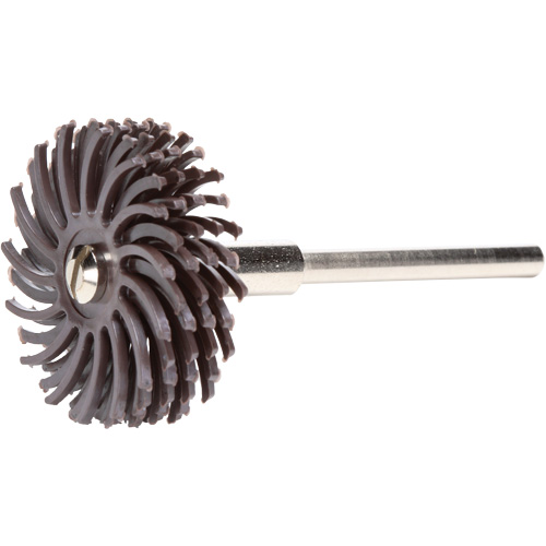 Scotch-Brite Radial Bristle Discs, Ceramic, 36X Grit, 1" Dia. Seaboard Timber Mart