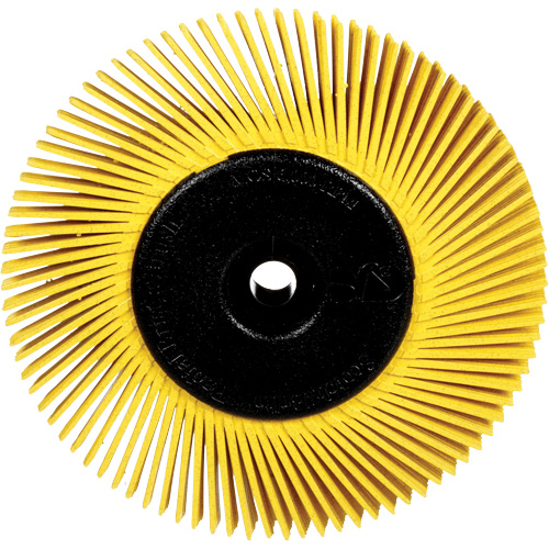 Brosses radiales bristle pour meuleuses d'&eacute;tabli, Grain 80X, 6" dia. Seaboard Timber Mart