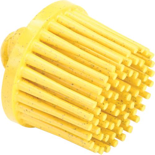 Disques bristle Roloc, Grain 80, 1" dia. Seaboard Timber Mart