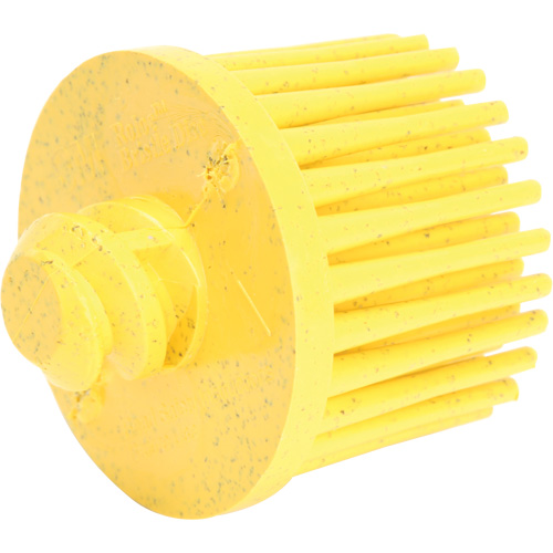 Disques bristle Roloc, Grain 80, 1" dia. Seaboard Timber Mart