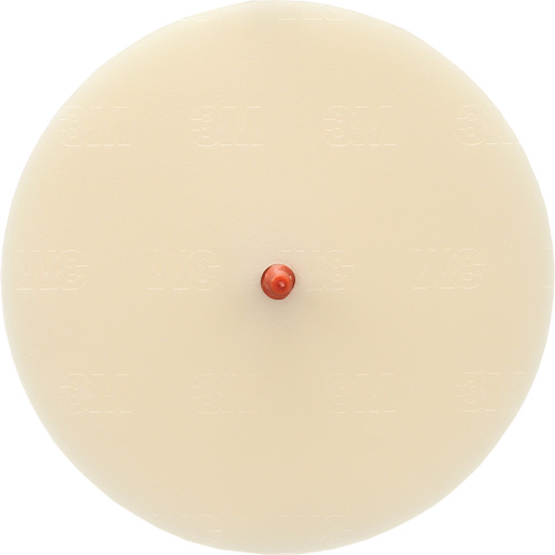 Disque Scotch-Brite 7502 pour retrait de colle et de bandes de moulage, 6" dia. Seaboard Timber Mart