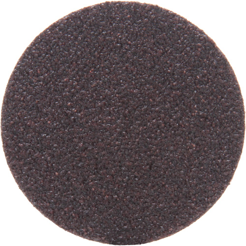 Disques 361F - Roloc TSM, 2" dia., Grain 36, Oxyde d'aluminium Seaboard Timber Mart