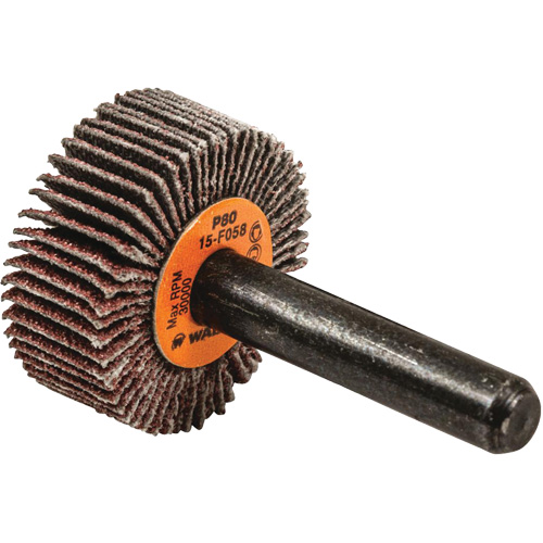 Disques &agrave; lamelles - Meules &agrave; lamelles Coolcut, Oxyde d'aluminium, Grain 80, 1" x 3/8" x 1/4" Seaboard Timber Mart