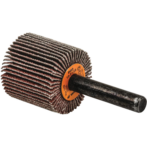 Disques &agrave; lamelles - Meules &agrave; lamelles Coolcut, Oxyde d'aluminium, Grain 80, 1" x 1" x 1/4" Seaboard Timber Mart