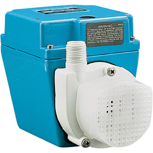 Pompes &agrave; double usage, 1/15 CV, 500 gal./h, 115 V, 3,2 A Seaboard Timber Mart