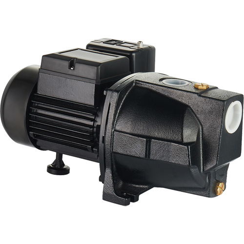Dual Voltage Cast Iron Shallow Well Jet Pump, 115 V/230 V, 1100 GPH, 1 HP Seaboard Timber Mart