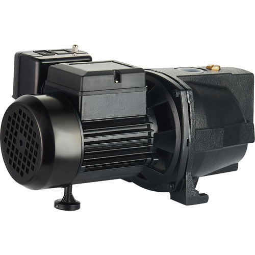 Dual Voltage Cast Iron Shallow Well Jet Pump, 115 V/230 V, 1100 GPH, 1 HP Seaboard Timber Mart