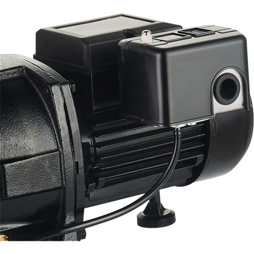 Dual Voltage Cast Iron Shallow Well Jet Pump, 115 V/230 V, 1100 GPH, 1 HP Seaboard Timber Mart