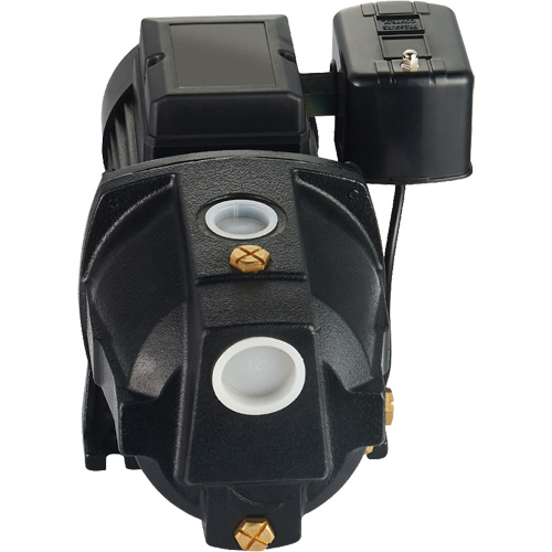 Dual Voltage Cast Iron Shallow Well Jet Pump, 115 V/230 V, 1100 GPH, 1 HP Seaboard Timber Mart
