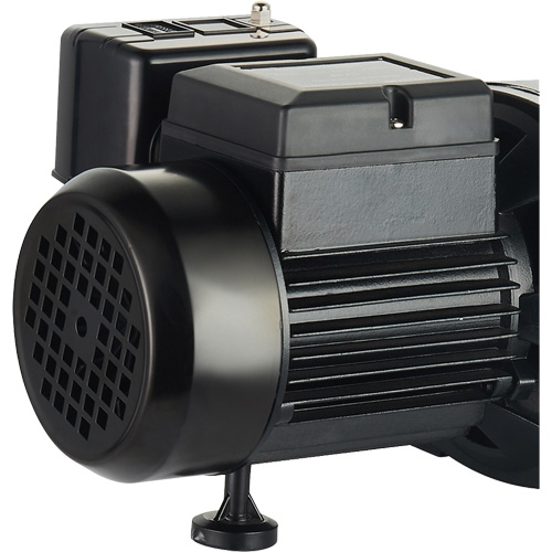 Dual Voltage Cast Iron Shallow Well Jet Pump, 115 V/230 V, 1100 GPH, 1 HP Seaboard Timber Mart