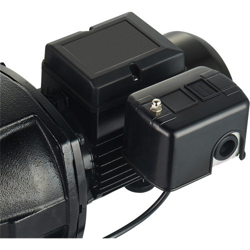 Dual Voltage Cast Iron Shallow Well Jet Pump, 115 V/230 V, 1100 GPH, 1 HP Seaboard Timber Mart