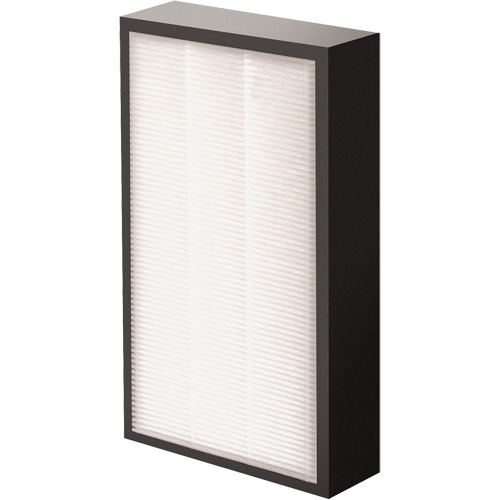 AeraMax&reg; Pro AM2 1-3/4" True HEPA Filter, Box, 7.38" W x 1.88" D x 12.88" H Seaboard Timber Mart