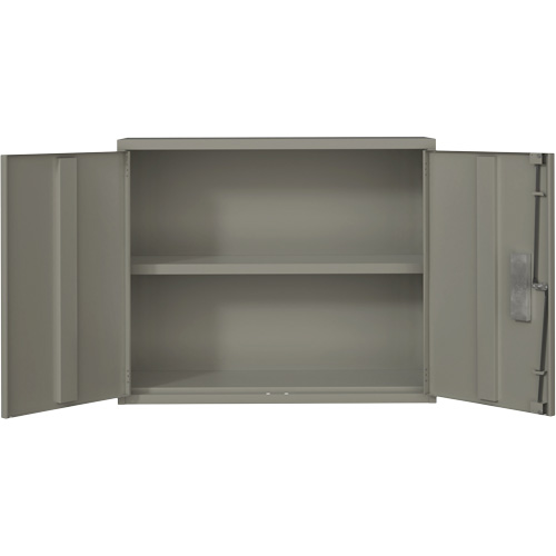 Wall Mounted Cabinet, Steel, 2 Shelves, 30" H x 36" W x 12" D, Grey Seaboard Timber Mart