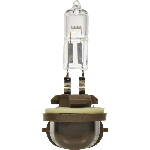 886 Phare antibrouillard de base, Halog&egrave;ne, 50 W, Blanc cass&eacute; Seaboard Timber Mart