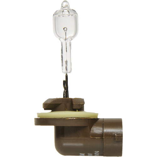 886 Phare antibrouillard de base, Halog&egrave;ne, 50 W, Blanc cass&eacute; Seaboard Timber Mart