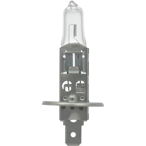 64155 Basic Automotive Bulb, Halogen, 78 W, Off White Seaboard Timber Mart