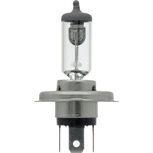9003 Ampoule de base pour feu avant, Halog&egrave;ne, 61 W/67 W, Blanc cass&eacute; Seaboard Timber Mart