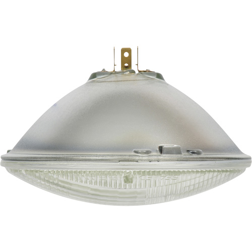 Phare automobile scell&eacute; de base H6024, 40 W, Blanc cass&eacute; Seaboard Timber Mart