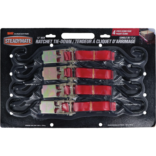 Ratchet Utility Straps, S-Hook, 1" W x 12' L, 500 lbs. (230 kg) Working Load Limit Seaboard Timber Mart