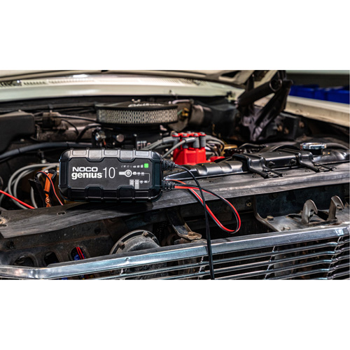 Chargeur de batterie 10 A Genius 10 Seaboard Timber Mart