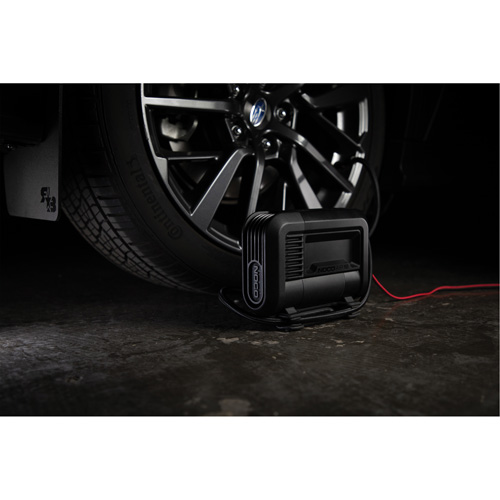 Compresseur d'air portable de 10 A Seaboard Timber Mart