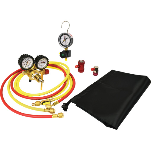 Automotive A/C Nitrogen Leak Test Kit with Regulator Seaboard Timber Mart