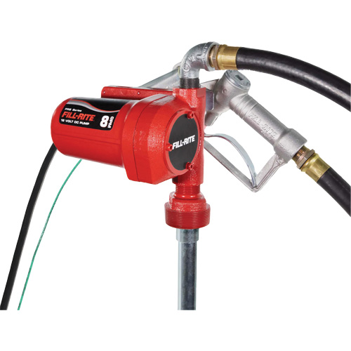 Pompe de transfert de carburant 12 V CC avec pistolet Seaboard Timber Mart