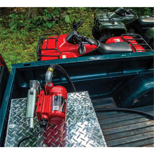 Pompe de transfert de carburant 12 V CC avec pistolet Seaboard Timber Mart