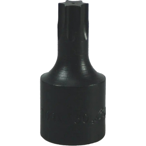 Embout Torx&reg; T-50 Seaboard Timber Mart