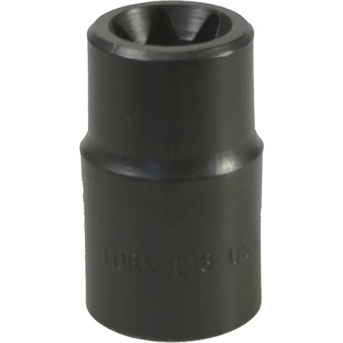 Douille Torx&reg; E-18 Seaboard Timber Mart