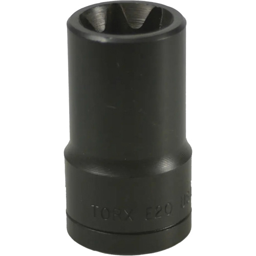 Douille Torx&reg; E-20 Seaboard Timber Mart