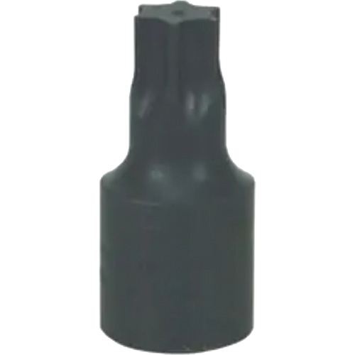Large T-70 Torx&reg; Bit Seaboard Timber Mart