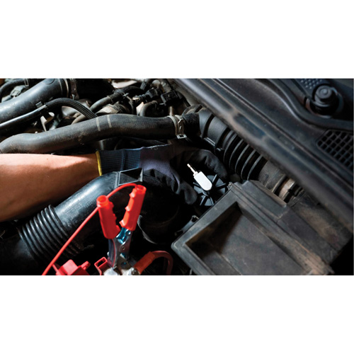 Short Frame Brake-Pro Pressure Brake Bleeder with Adapters Seaboard Timber Mart