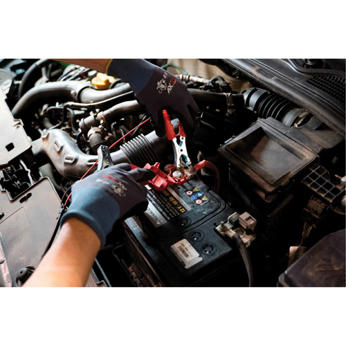 Tall Frame Brake-Pro Pressure Brake Bleeder with Adapters Seaboard Timber Mart