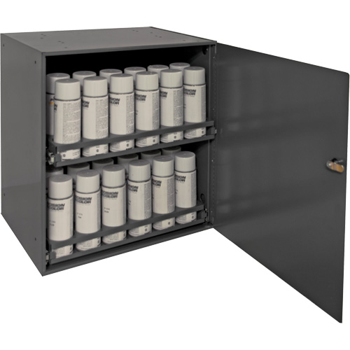 Aerosol Storage Cabinet, Steel, 21-7/8" H x 15-15/16" W x 20-5/16" D, Grey Seaboard Timber Mart