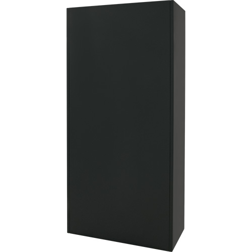 Armoire de rangement combin&eacute;e, 36" la x 18" p x 72" h, Noir Seaboard Timber Mart