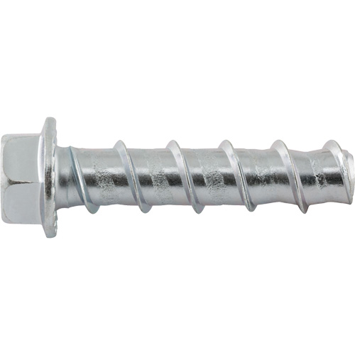 Wedge Bolts, Carbon Steel, 1/2" x 2-1/2" Seaboard Timber Mart