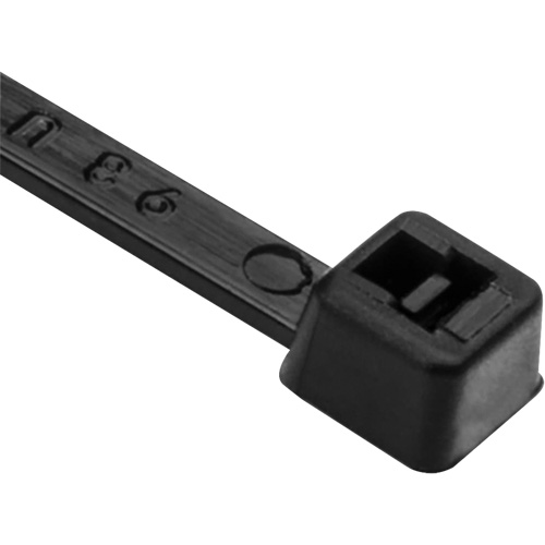 Attaches de c&acirc;ble PA66, Longueur 8", R&eacute;sistance &agrave; la traction 50 lb, Noir Seaboard Timber Mart