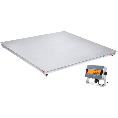 DEFENDER 3000 Floor Scale, 2500 lbs. Capacity, 48" W x 48" L Seaboard Timber Mart