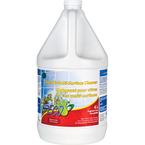 Glass & Multi-Surface Cleaners, 4 L, Jug Seaboard Timber Mart