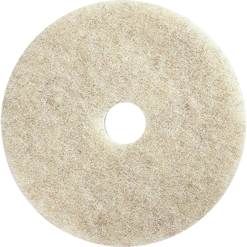 Tampons pour l'entretien des planchers, 21", Brunissage, Brun Seaboard Timber Mart