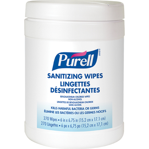 Hand Sanitizing Wipes, Canister Seaboard Timber Mart