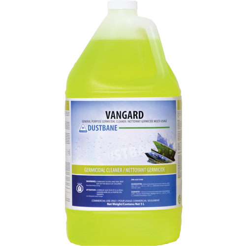 Nettoyant germicide d'usage g&eacute;n&eacute;ral Vangard, 5 L, Cruche Seaboard Timber Mart