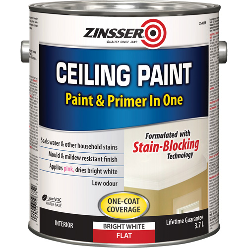 Peinture et appr&ecirc;t pour plafond en un seul produit, Blanc, Tr&egrave;s mat, 3,78 L, Gallon Seaboard Timber Mart