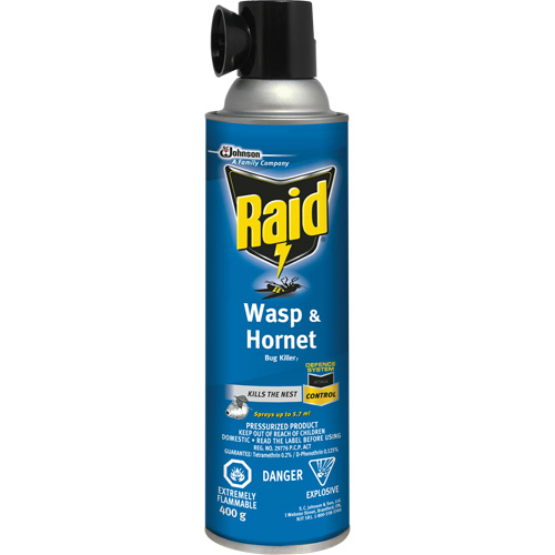 Insecticide contre les gu&ecirc;pes et les frelons Raid, 400 g, &agrave; base de solvant Seaboard Timber Mart